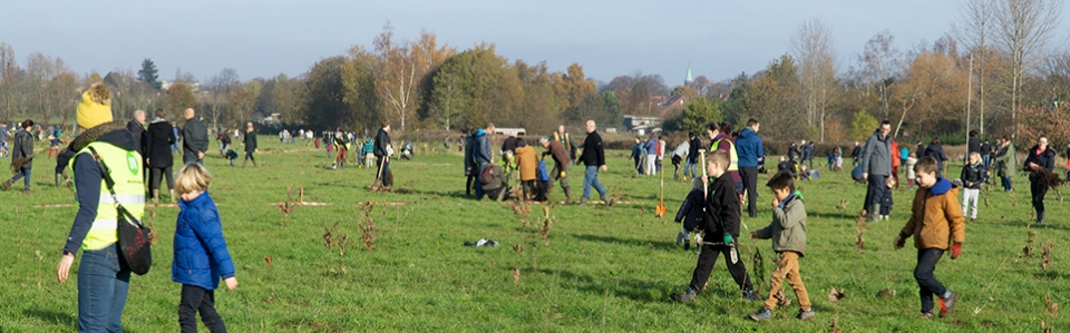 Plus d'arbres grâce à SERIS